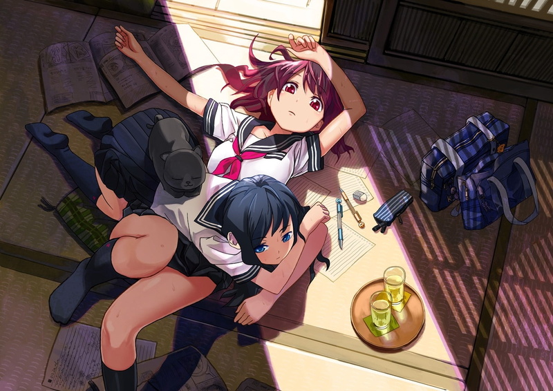 blue, books, skirts, paper, school, schoolgirls, hd, eyes, animals, cats, e, red, hair, redheads, 720P, socks, art, long, uniforms