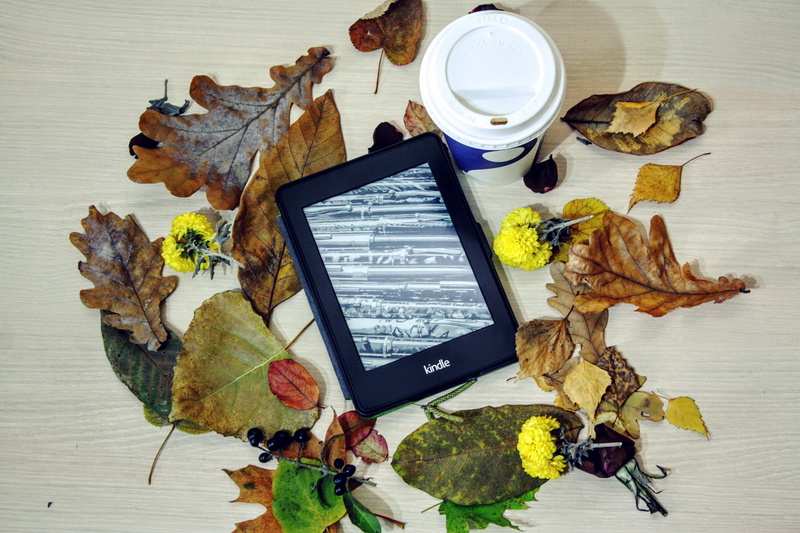 electronic, computer, e, kindle, book, food and drink, connection, tablet, literature, high angle view, plant part, natural, library, message, digital
