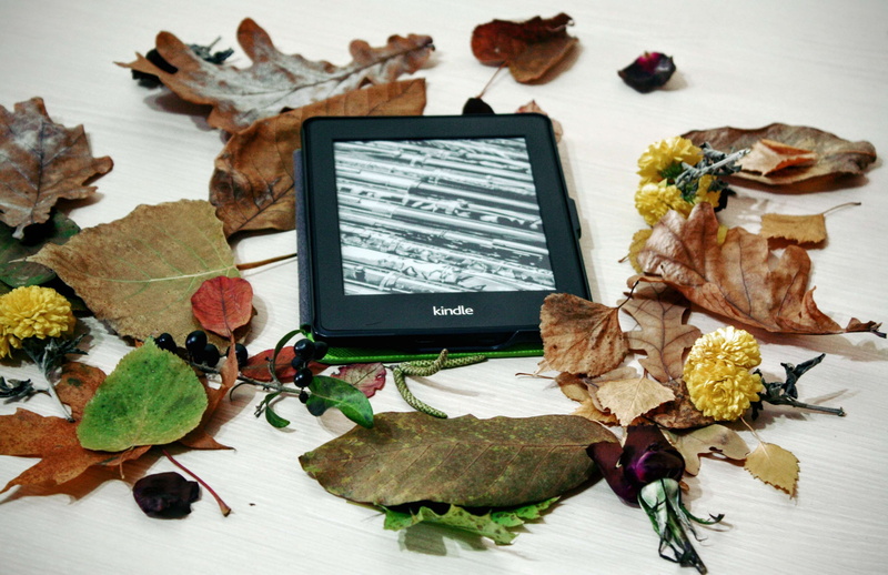 atmosphere, nature, reading, communication, rose - flower, beauty in nature, decoration, education, computer, digital, library, technology, e book, leaf