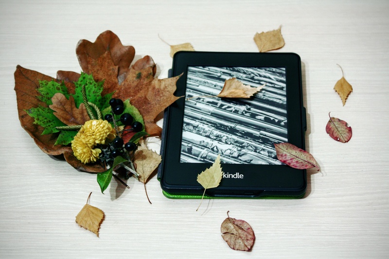 black, table, freshness, wellbeing, food and drink, natural, choice, e, internet, food, autumn, indoors, nature, close-up, kindle, technology, electronic