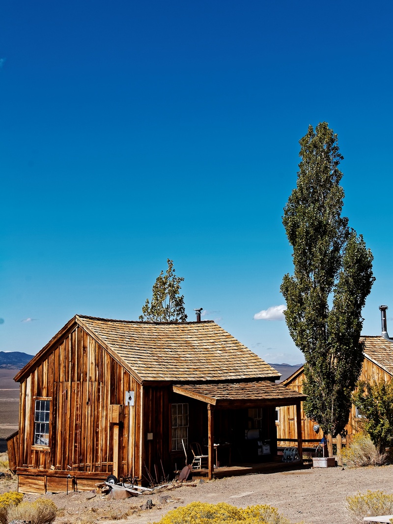 plant, blue, travel, house, outdoors, ghost town, architecture, roof, building exterior, tree, 2K, leave, copy space, land, clear sky, building, cabin