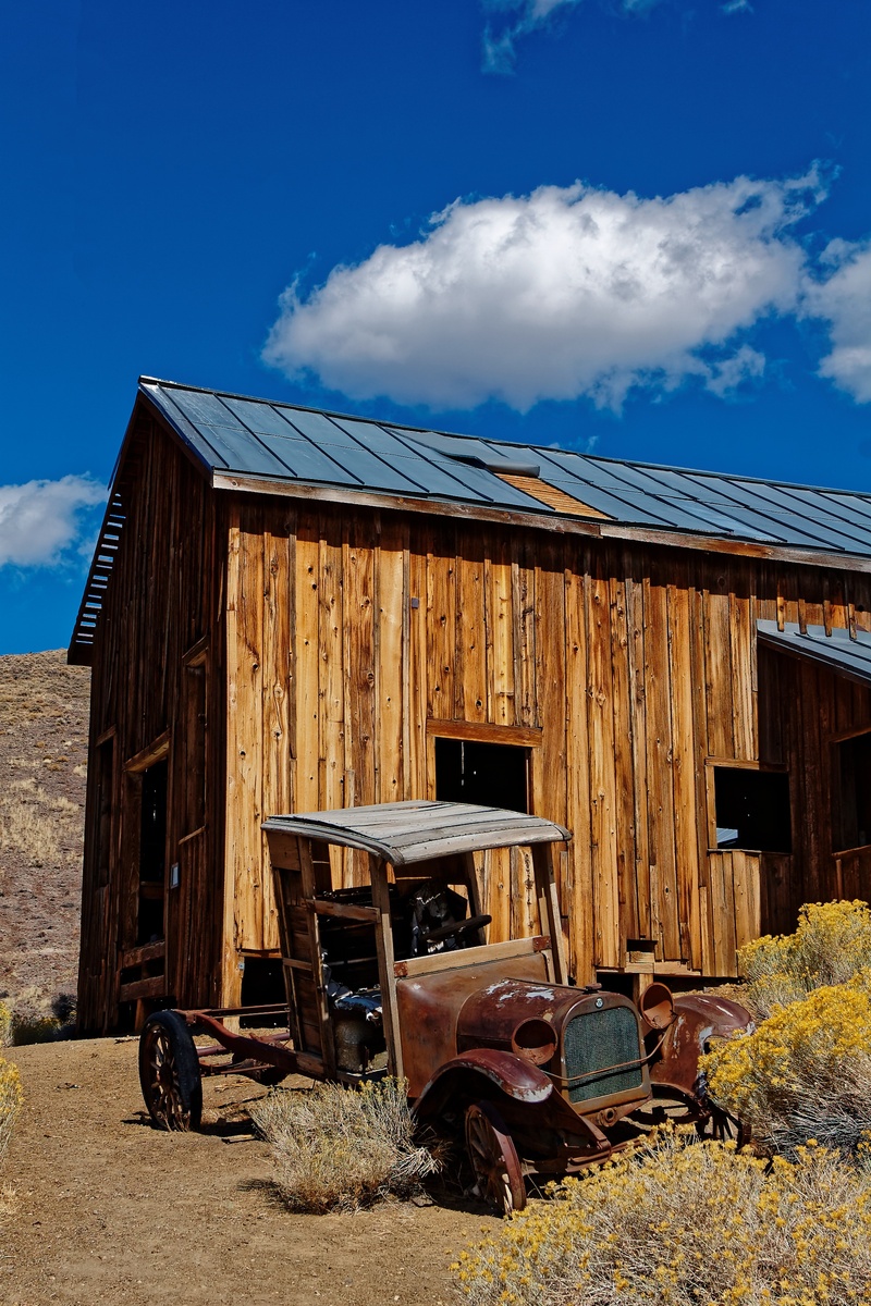 relaxation, building, day, america, allows, domestic, house, no people, architecture, 2K, domestic animals, usa, sunlight, sky, leave, built structure