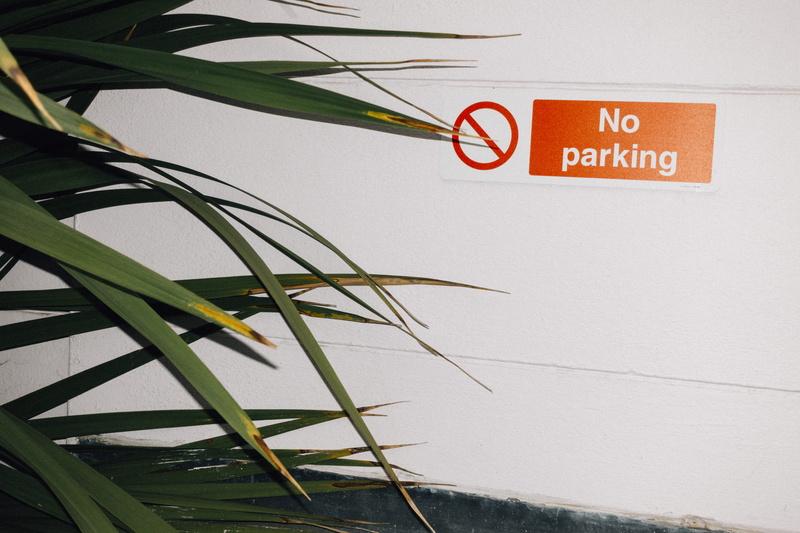 restricted, close-up, guidance, green, leaf, 5K, wall - building feature, red, plant part, restriction, text, daylight, capital letter, prohibited, daytime