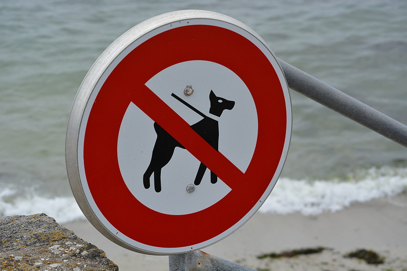good citizenship, forbidden, close-up, human representation, sign, no dogs allowed, shape, day, nature, guidance, outdoors, circle, hygiene, no people