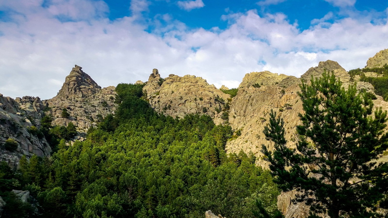 manzanares el real, outdoors, plant, growth, tranquility, rock, day, cloud - sky, beauty in nature, tree, 4K, scenics - nature, nature, rock - object
