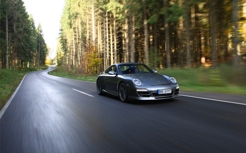 silver, coupe, porshe, porsche, land, woodland, speed, road, car, tree, nature, transportation, land vehicle, driving, on the move, road trip, plant, 911