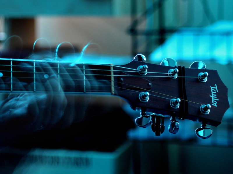 nature, string, connection, hand, black, musical instrument string, selective focus, playing, human limb, technology, guitar, human hand, taylor, musical instrument