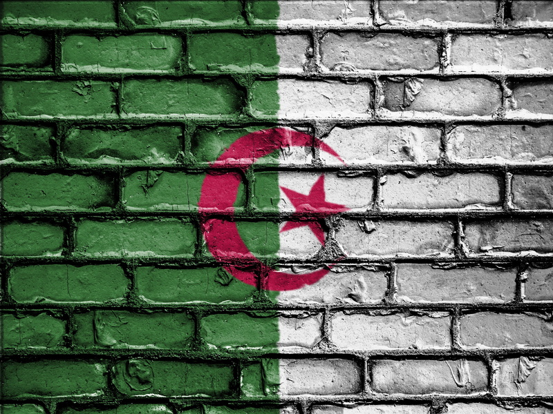 patriot, bricks, backgrounds, emblem, patriotic, day, built structure, wall - building feature, algeria, textured, patriotism, wall, national, banner, creativity