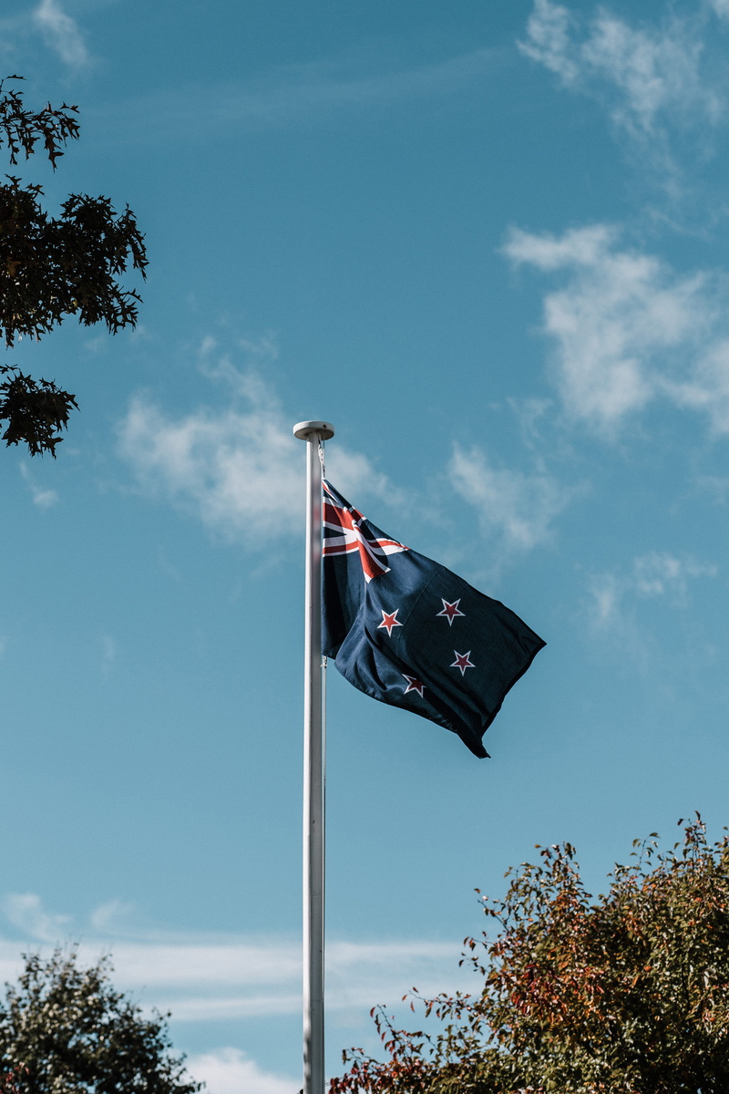trees, new, sky, administration, nature, independence, blue sky, country, emotion, zealand, tree, national icon, pride, patriotism, nz, new zealand, plant