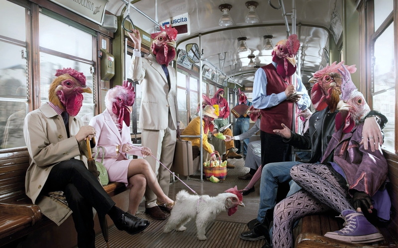 clothing, rooster, leisure activity, casual clothing, women, occupation, real people, group of people, vehicle, indoors, chickens, full length, sitting