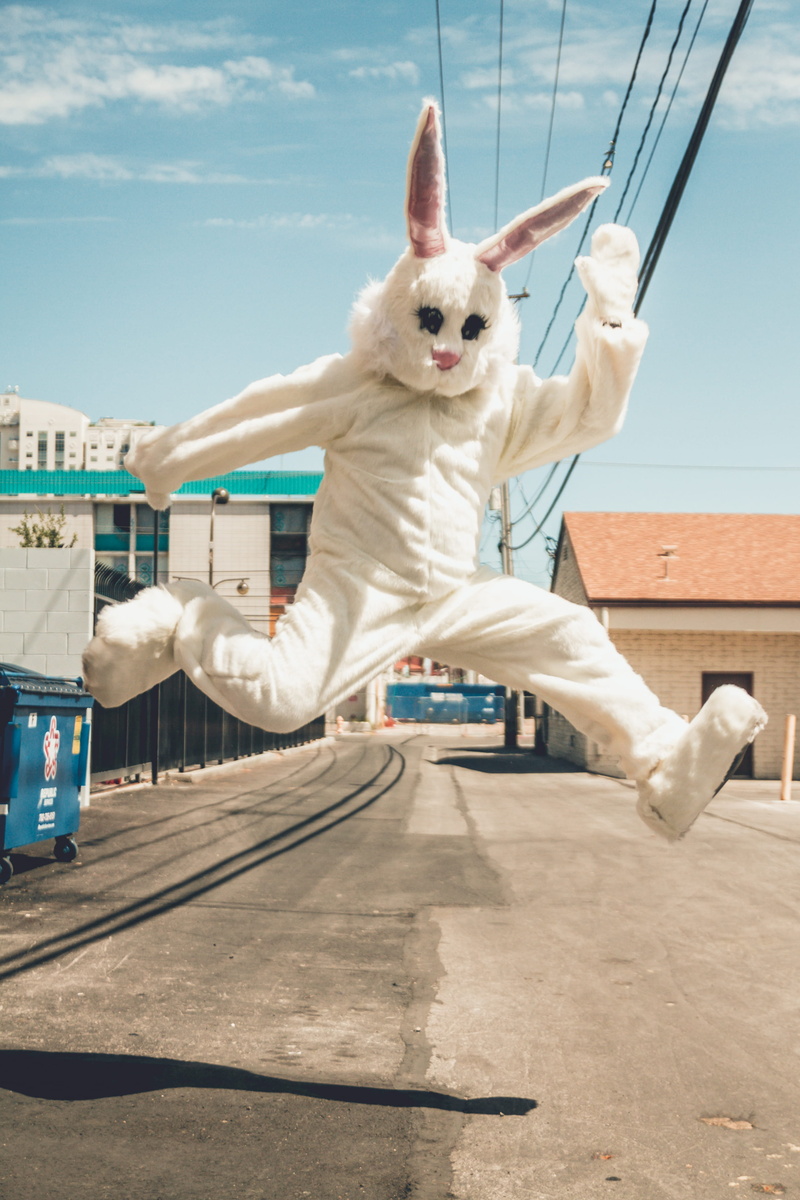 human arm, photography, leisure activity, sky, man, real people, costume, one animal, domestic, time, air, lapse, mid, mid-air, full length, 4K, outdoors