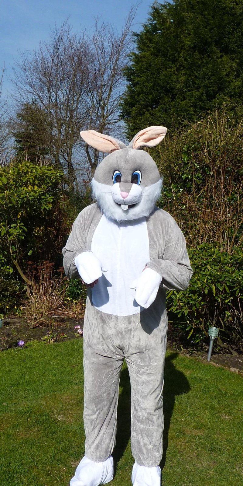 fluffy, disguise, field, rabbit, fun, animal imitation, easter bunny, costume, animal, animal wildlife, standing, tree, one person, 1080P, animal themes