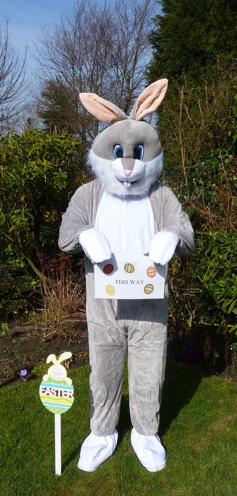 rabbit, tradition, nature, disguise, front view, standing, mammal, unrecognizable person, easter bunny, representation, easter, mask, human representation