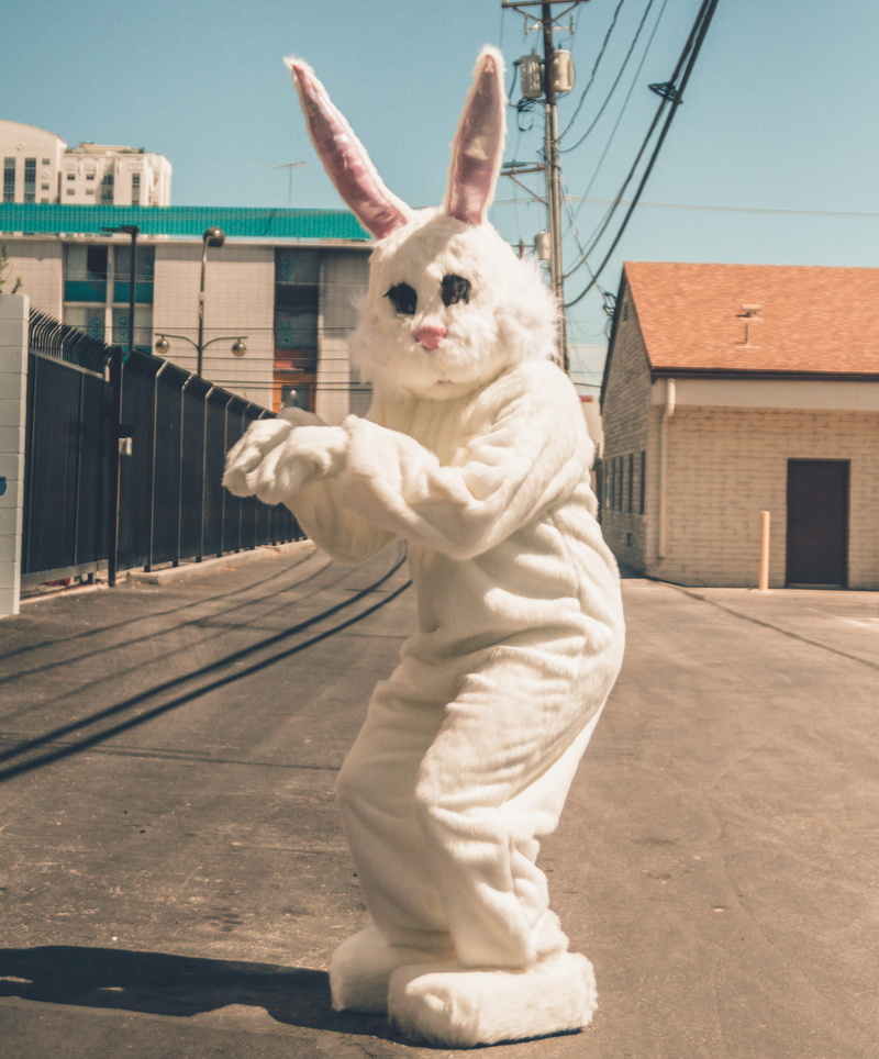 dtlv, person, las vegas, costume, mascot, full length, clothing, architecture, brick, astronaut, no people, representation, mammal, day, domestic, one animal