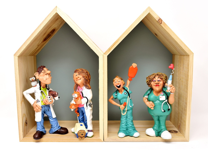 owl, human representation, women, toy, adult, dog, professions, childhood, doctor, indoors, christmas ornament, females, hospital, figurine, heal, studio shot