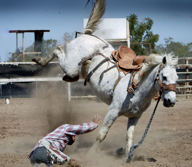 accident, horse riding, male, outdoors, bronco, sport, domestic, horse, rodeo, man, people, motion, incidental people, day, ground, mammal, herbivorous