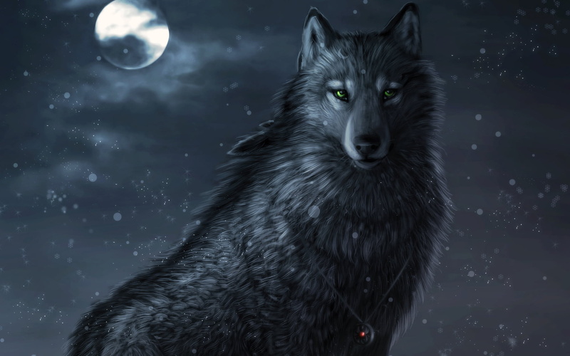 cold - Temperature, snow, carnivore, dark, amulet, sky, outdoors, backgrounds, the moon, animal themes, no people, domestic animals, vertebrate, green eyes