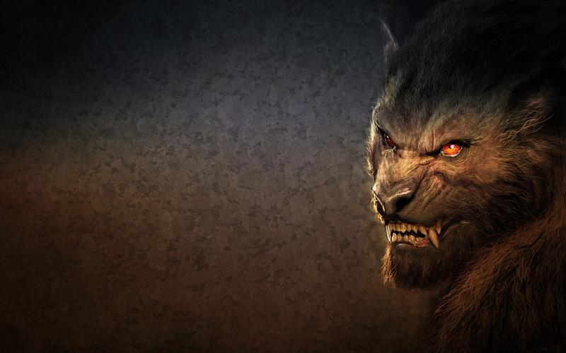sign, BEING, animal, animal body part, profile view, indoors, LOOK, wall - building feature, aggression, feline, looking away, FANGS, communication, FACE