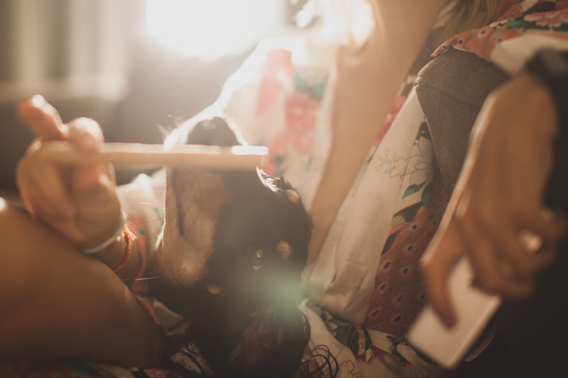 finger, wrist, indoors, lifestyles, midsection, selective focus, mammal, adult, human hand, domestic, ho chi minh, 4K, apparel, holding, one person