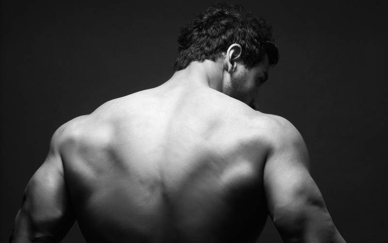 muscular build, John Abraham, males, photo, black background, grayscale, john, shirtless, look, rear view, waist up, Male Celebrities, lifestyles, human back