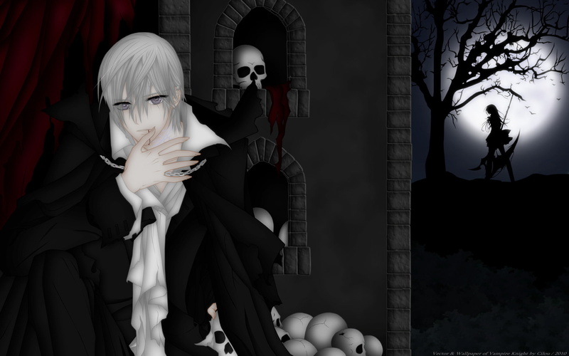 Blood, Vampire Knight, Dark, Yuki Cross, Zero Kiryu, Skull, 1080P, Yuki Kuran, Grey Eyes, Anime