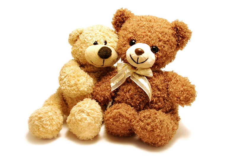 toy Animal, love, doll, creativity, bear, toy, stuffed, studio Shot, sitting, fluffy, two objects, art and craft, white Background, playful, no People