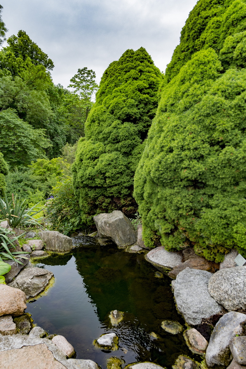 architecture, museum, copenhagen, canal, plant, tranquility, outdoors, beauty in nature, tourism, scenics - nature, tree, rock, european, tower, old, green color