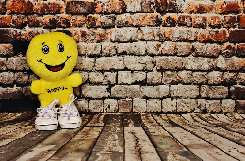 table, wall - building feature, brick, happy, brick wall, seat, feelings, plush, smiling, joy, art and craft, funny, animal, no people, wood - material