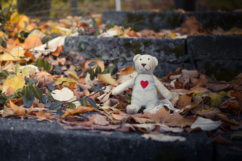 change, day, land, green, creativity, animal, autumn, focus on foreground, bear, brown, dangerous, outdoors, leaf, beast, representation, solid, plant part