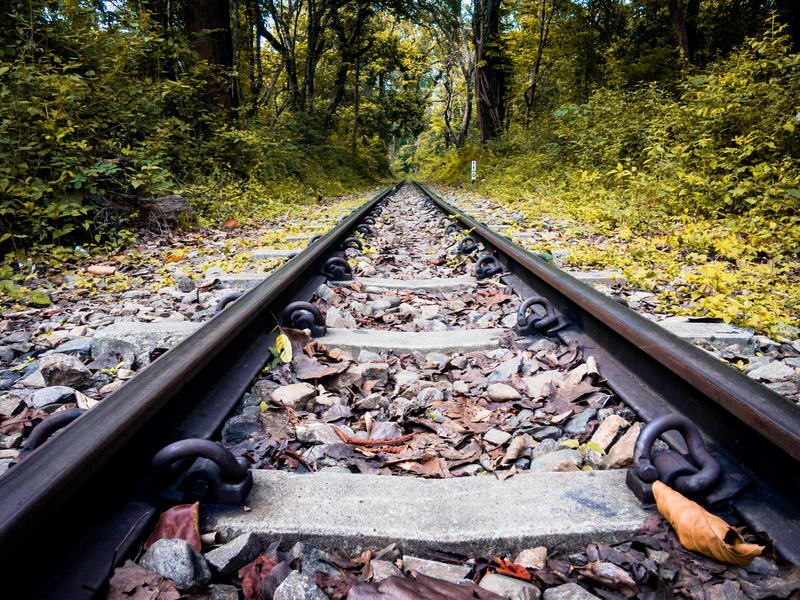 sukna, metal, connection, dhr, railway tracks, tree, autumn, train tracks, darjeeling, 4K, sukna forest, plant, land, transportation, mode of transportation