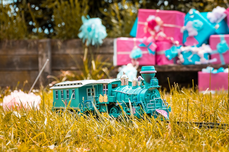 train, grass, selective focus, focus on foreground, nature, plant, miniature toy, land, field, day, green color, growth, small, toy, flower, 4K, outdoors