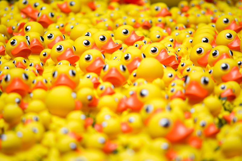 no people, eye, bath, close-up, toy, kid, selective focus, choice, duck, orange, abundance, pile, animal, orange color, bath duck, large group of objects