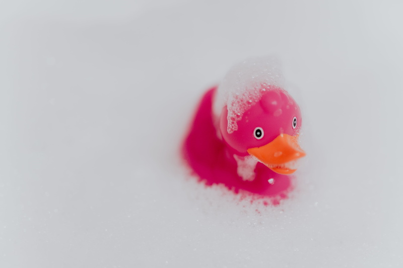 water, animal, no people, domestic bathroom, close-up, rubber toy, studio shot, pink color, red, animal representation, single object, rubber, pink duck