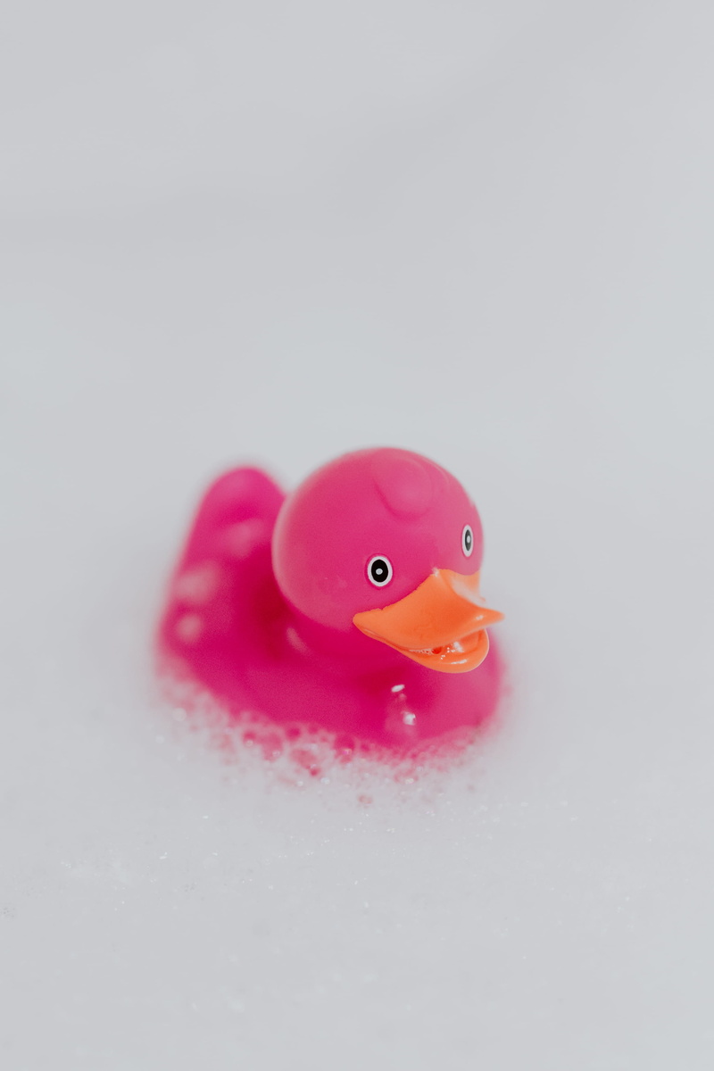 studio shot, floating on water, no people, toy, representation, rubber ducky, pink color, pink, 2K, rubber, water, rubber toy, animal, bath, colored background