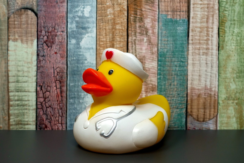 day, cute, creativity, fun bathing, representation, toy, toys, animal, duck, still life, bath duck, wood - material, nurse, yellow, quietscheente, single object