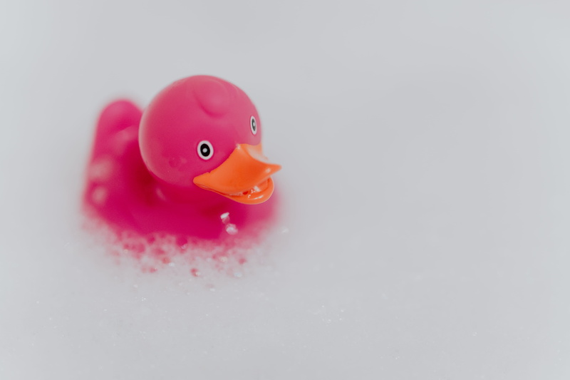 pink, no people, floating on water, soap sud, animal, bathroom, bath, rubber, bubble, copy space, soap bubbles, rubber toy, single object, animal representation