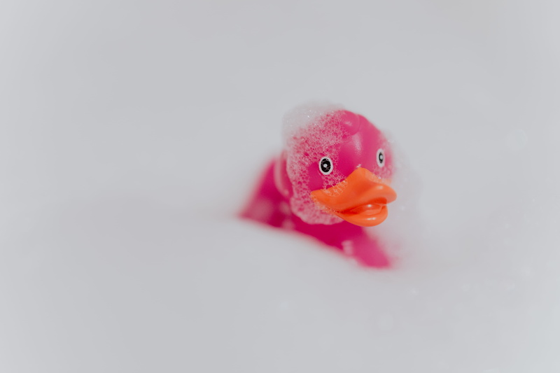 animal head, foam, young animal, toy, 5K, pink duck, bath, rubber toy, copy space, red, vertebrate, studio shot, rubber, no people, representation, indoors