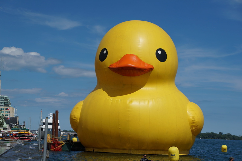 fun, no people, floating on water, sky, architecture, representation, toy, water, nature, rubber duck, blue, cloud - sky, duck, floating, outdoors, close-up