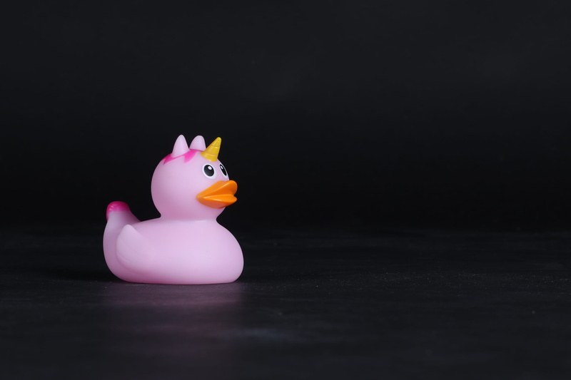 no people, rubber duck, toy, animal themes, representation, pink, livestock, black background, horn, rubber, single object, cute, studio shot, duck, art and craft