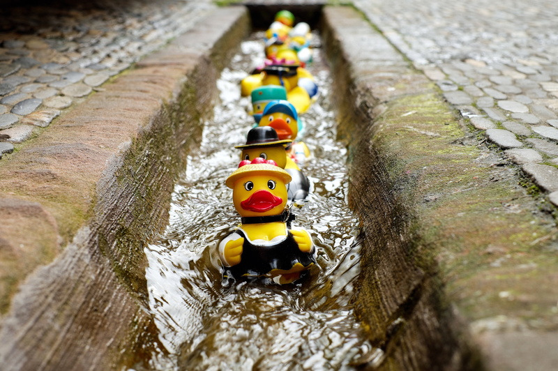plastic, yellow, representation, figurine, focus on foreground, 4K, nature, toy, male likeness, rubber ducks, human representation, no people, outdoors