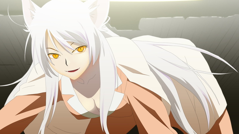 nekomimi, close-up, portrait, focus on foreground, craft, hair, Hanekawa Tsubasa, white color, cat girl, day, sunlight, white, anime, human representation