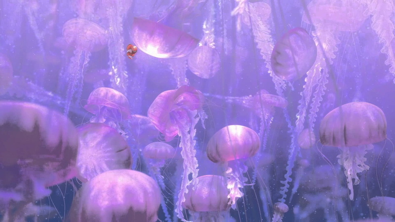 family, sea, finding, fish, disney, underwater, ocean, tropical, jellyfish, animation, nemo, adventure, drama, 1080P, comedy