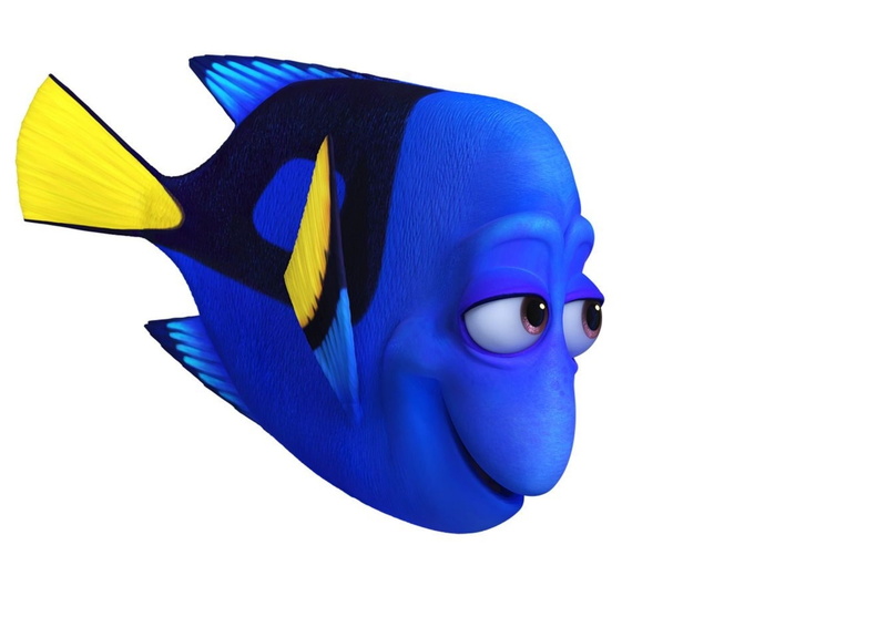 animal, copy space, close-up, textile, cut out, shape, animation, pixar, finding dory, indoors, fish, movie, white background, white, communication, single object