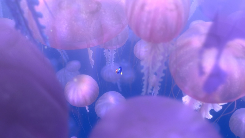 underwater, comedy, drama, nemo, family, sea, adventure, finding, fish, ocean, jellyfish, tropical, disney, 1080P, animation