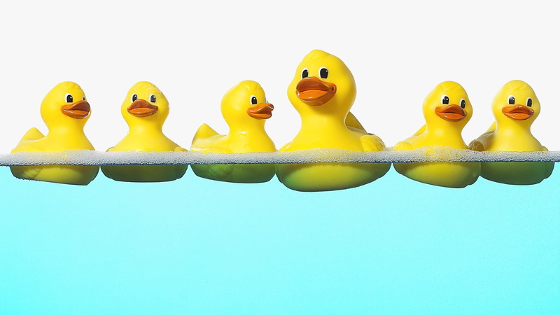 ducks, rubber, hd, x, 1080P, animals, art, rubber ducks