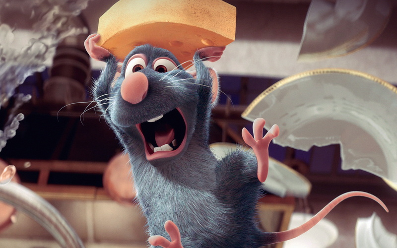 domestic cat, disney, mouth open, mouth, whisker, focus on foreground, ratatouille, domestic, pixar, animal body part, portrait, cat, hat, feline, 4K
