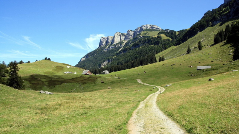 road, livestock, houses, mountains, meadows, grazing, nature and landscapes, high, 1080P
