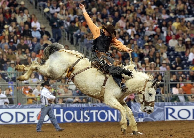 men, outdoors, sports Track, competitive Sport, white, horse, livestock, jockey, sign, mammal, competition, sports Race, event, domestic animals, houston
