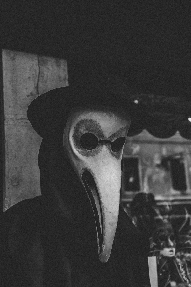 celebration, accessory, disguise, hat, animal, human, mask, human body part, sony, leisure activity, black and white, beak, front view, bird mask, bird