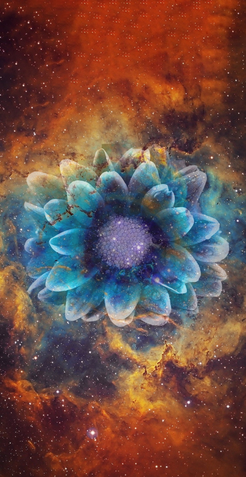 1080P, Photoshop, space art, Creative Assembly